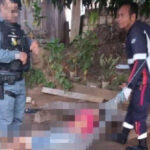 Homem impede que idosa apanhe do filho e é morto