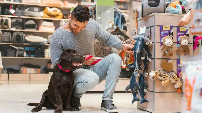 Imposto de Renda: projeto oferece descontos em gastos com pets